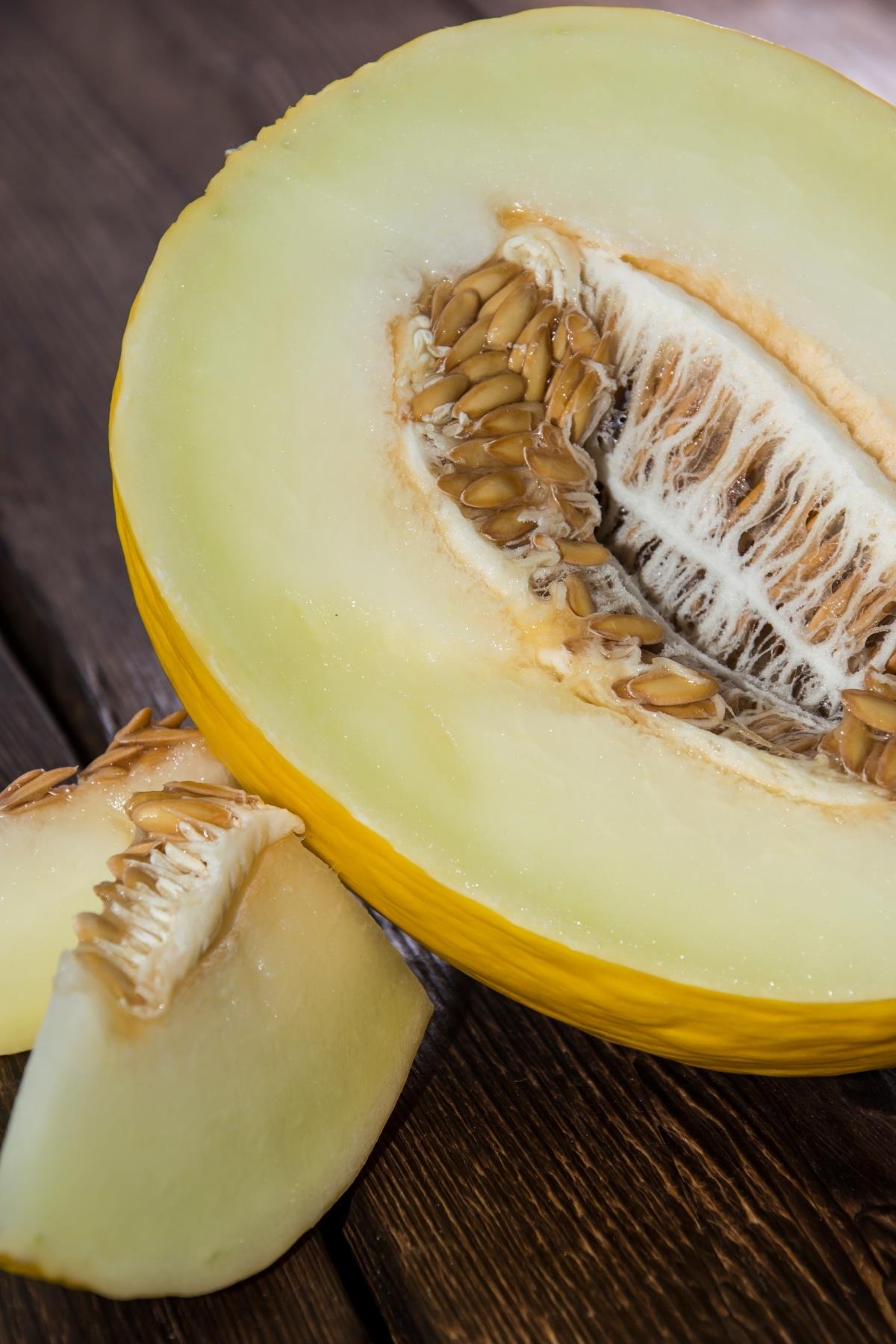 Gurme İran Kavunu Altın Hasat Pestisitsiz 1300 Gr ve Üzeri