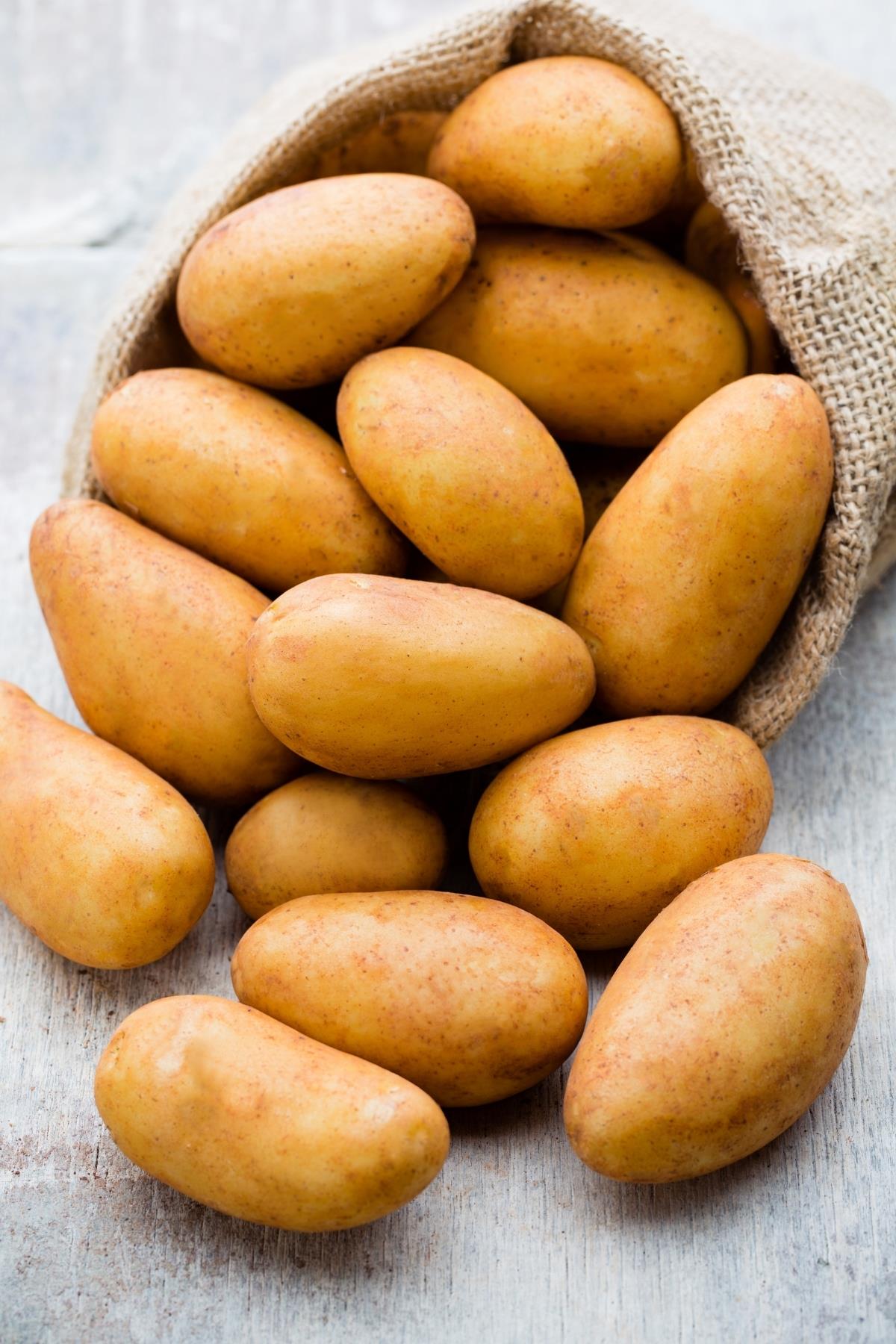Patates Pestisitsiz& Doğal Pestisitsiz