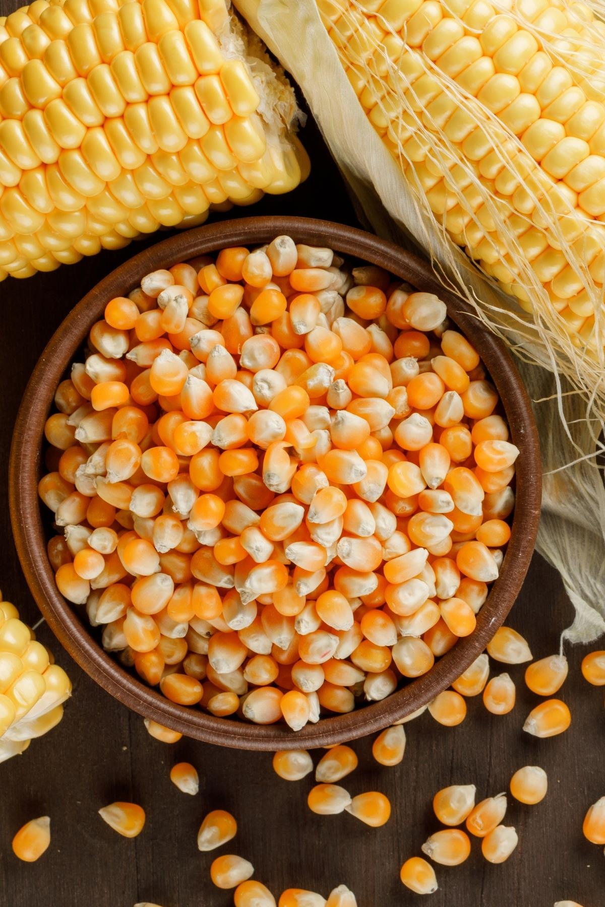 Popcorn Corn 500 Gr Pack