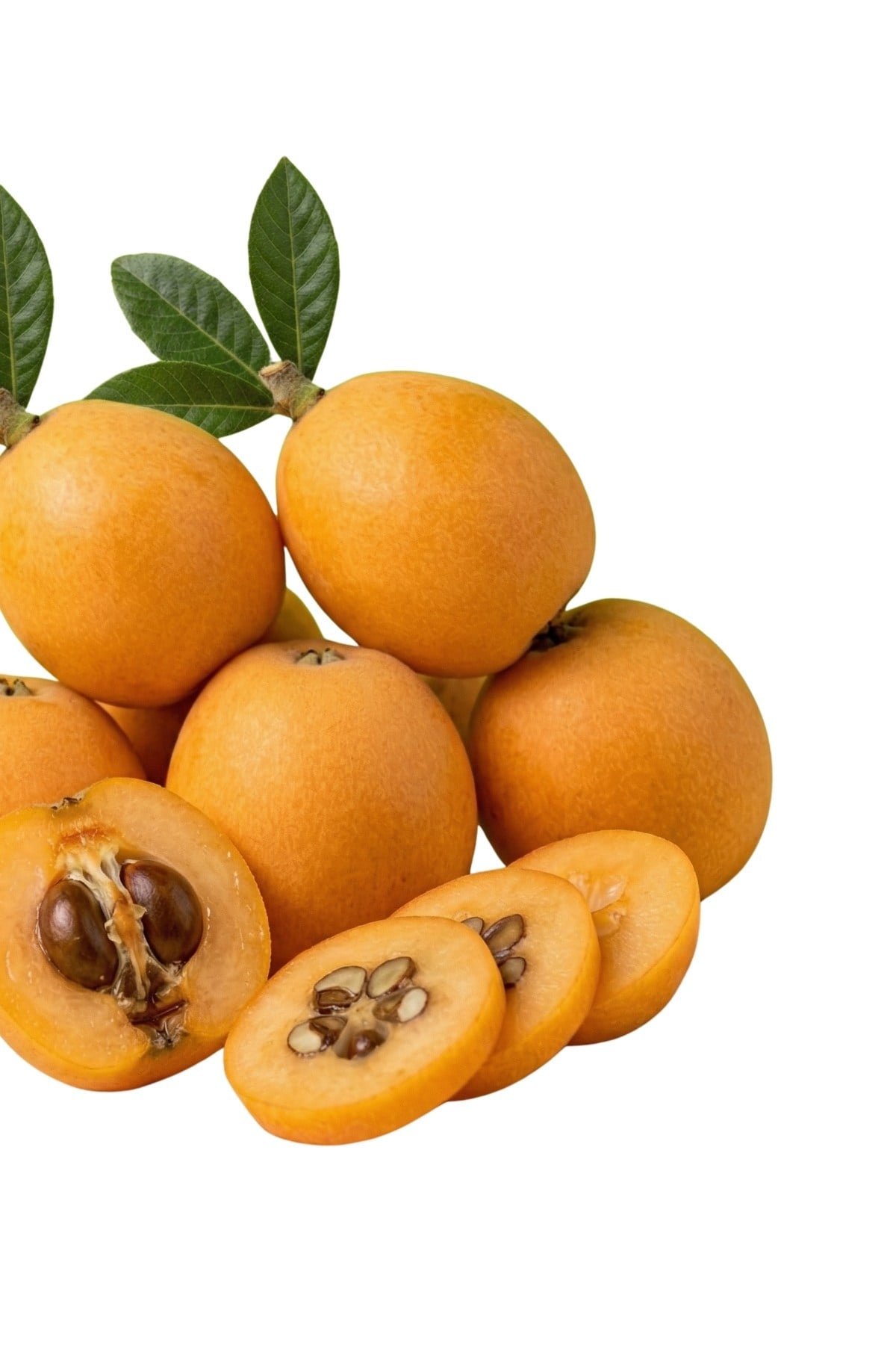 Yeni Dünya Pestisitsiz (Muşmula-Malta Eriği)