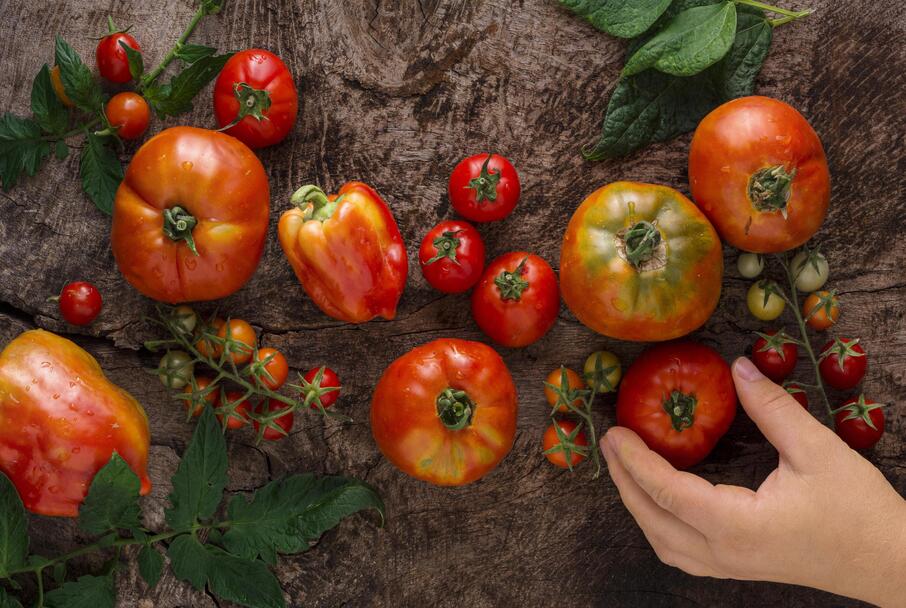 Köy Domatesi ile Market Domatesi Arasındaki Farklar Nelerdir?