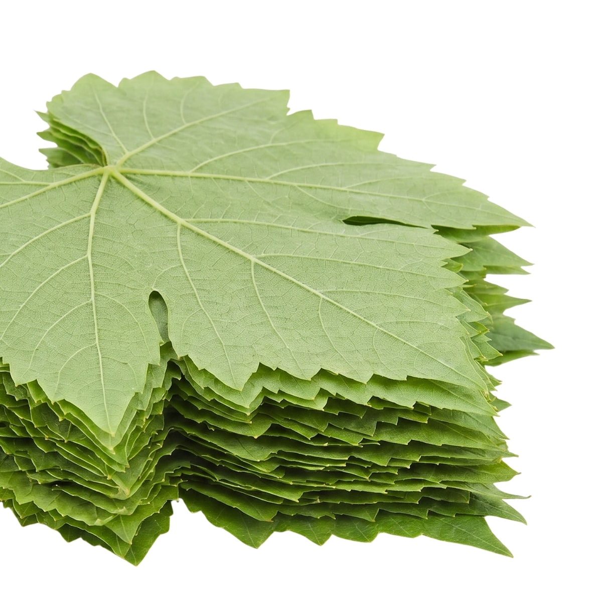 Taze Hasat Salamura Yaprak 500 Gr.Paket