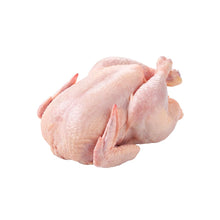 Helal Kesim Kuru Yolum Organik Bütün Tavuk 1,5 kg Üstü Adet