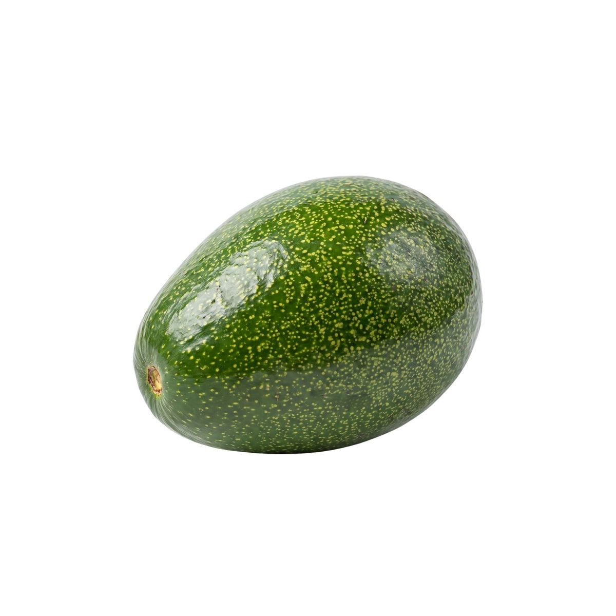 Taze Hasat Avokado – Pestisitsiz – Dalından - (1 Adedi 150-250 gr Arası)