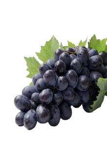 Siyah Üzüm 500gr.Paket