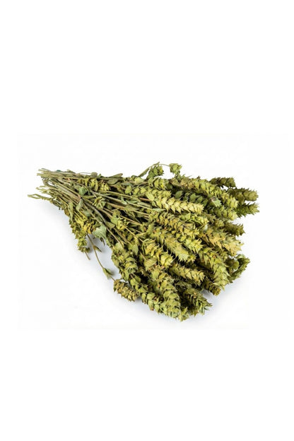 Sage (50 Gram Bundle)