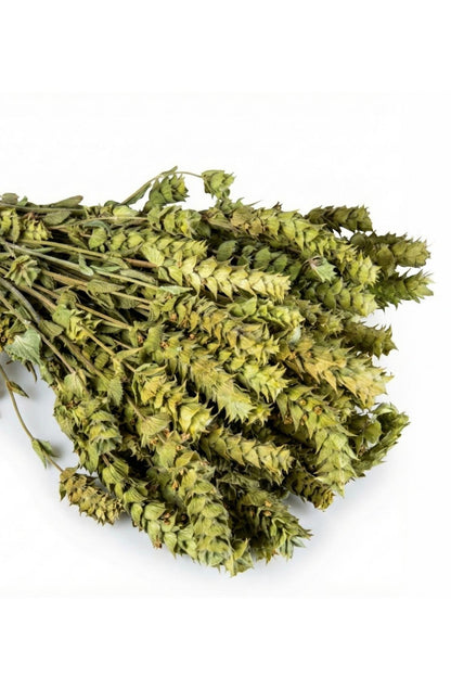 Sage (50 Gram Bundle)