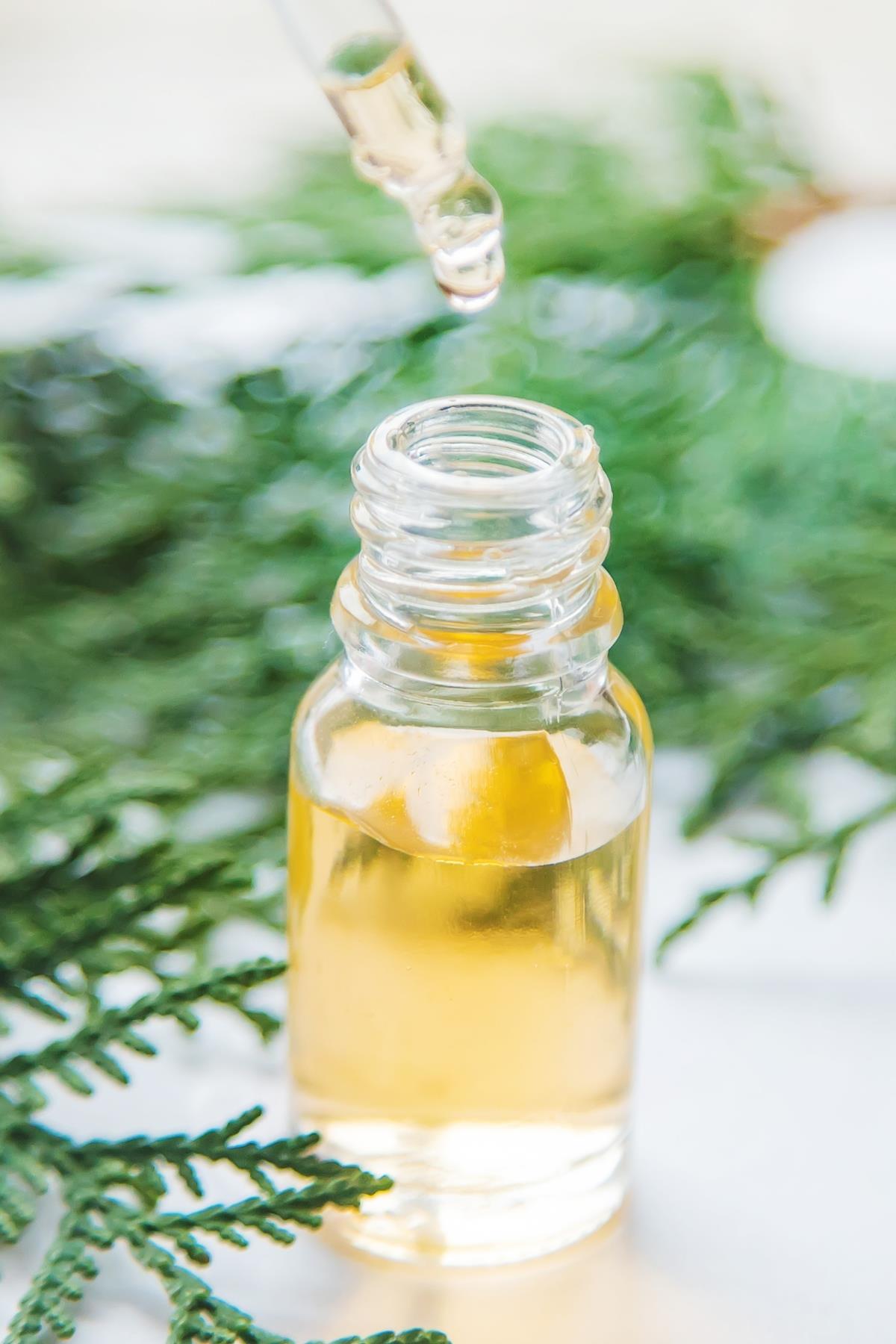 Juniper Berry Oil 20 cc
