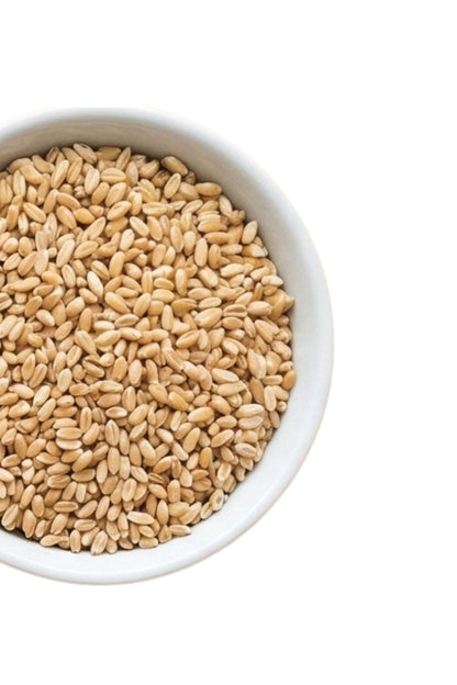 Ashura Wheat (White) 500g Pack