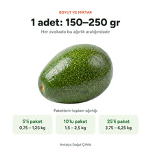 Avokado boyut ve miktar: 1 adet 150-250 gram, 5'li paket 0,75-1,25 kg, 10'lu paket 1,5-2,5 kg, 25'li paket 3,75-6,25 kg