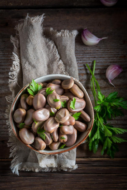 Broad bean