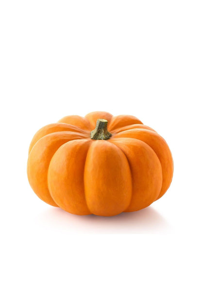 Bal Kabaği 3 Kg Üstü Adet