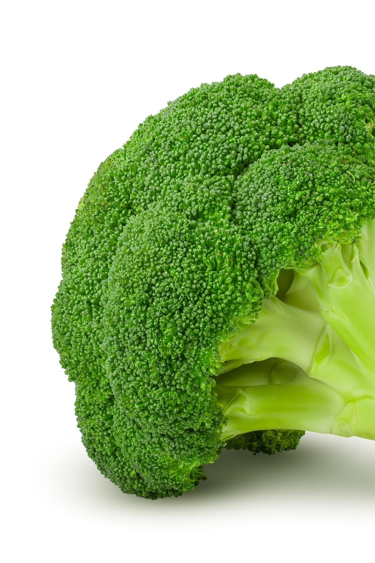 Broccoli 700-1500 Gr (1 Piece)