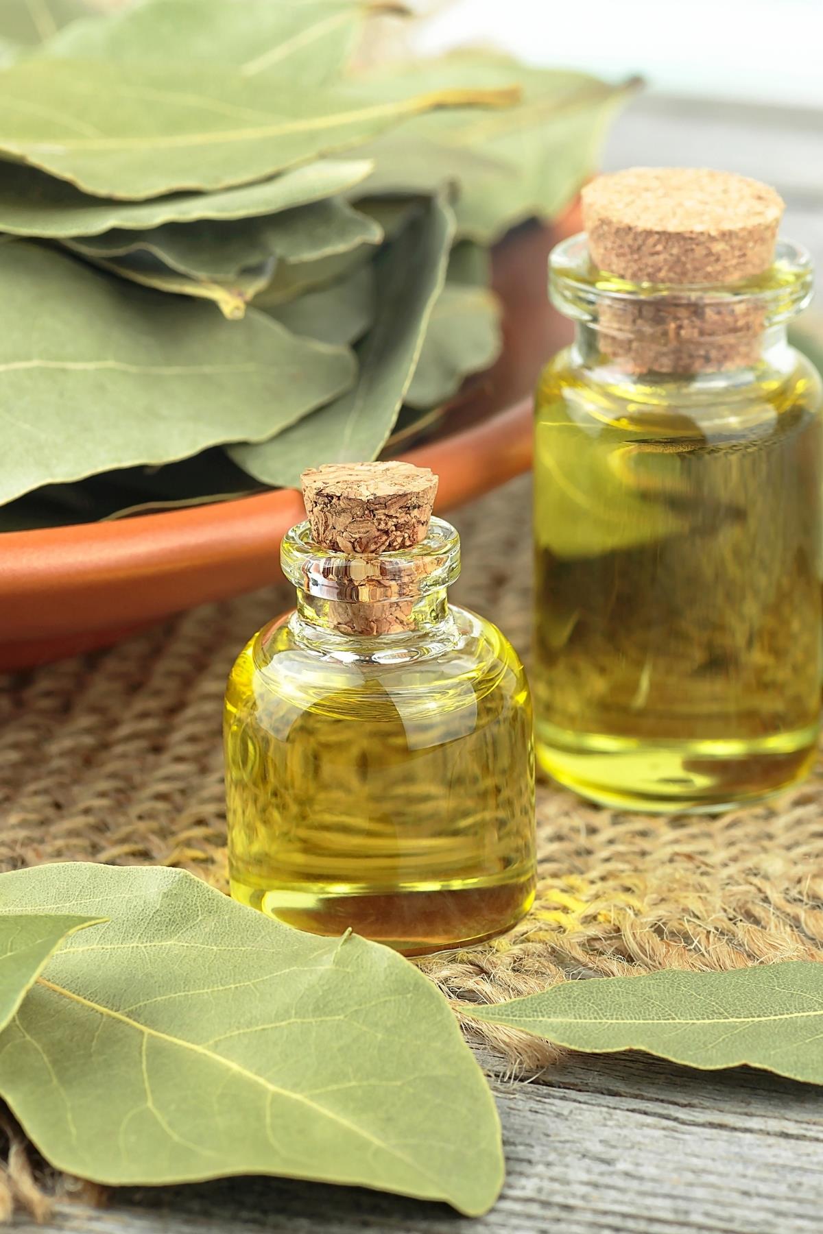 Laurel Oil 20 cc