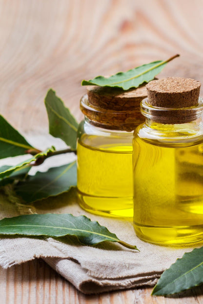 Laurel Oil 20 cc