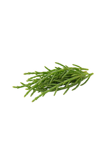 Samphire 1 Bunch