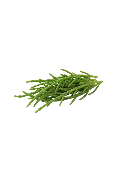 Samphire 1 Bunch