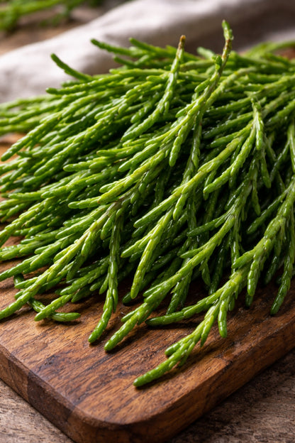 Samphire 1 Bunch