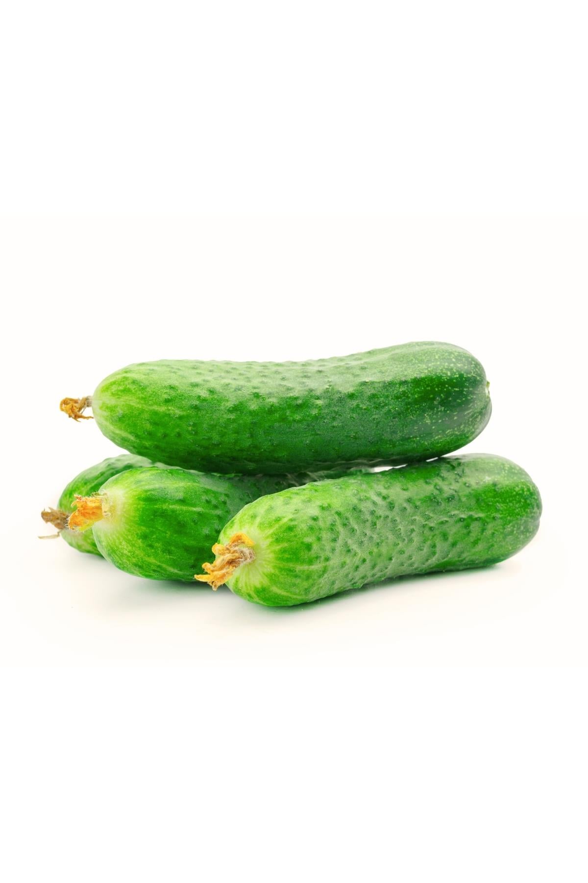 Dikenli Premium Salatalık - Doğal Formunda – Pestisitsiz