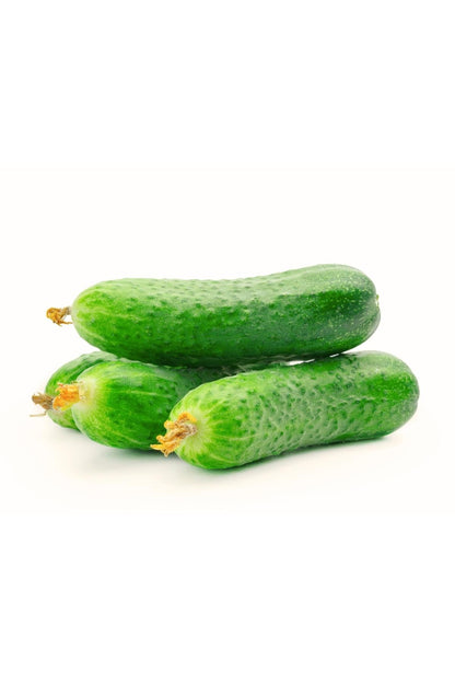 Dikenli Premium Salatalık - Doğal Formunda – Pestisitsiz