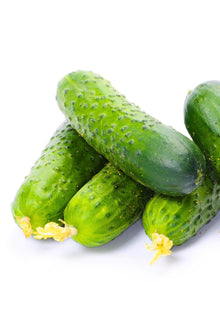 Spiny Cucumber 500g