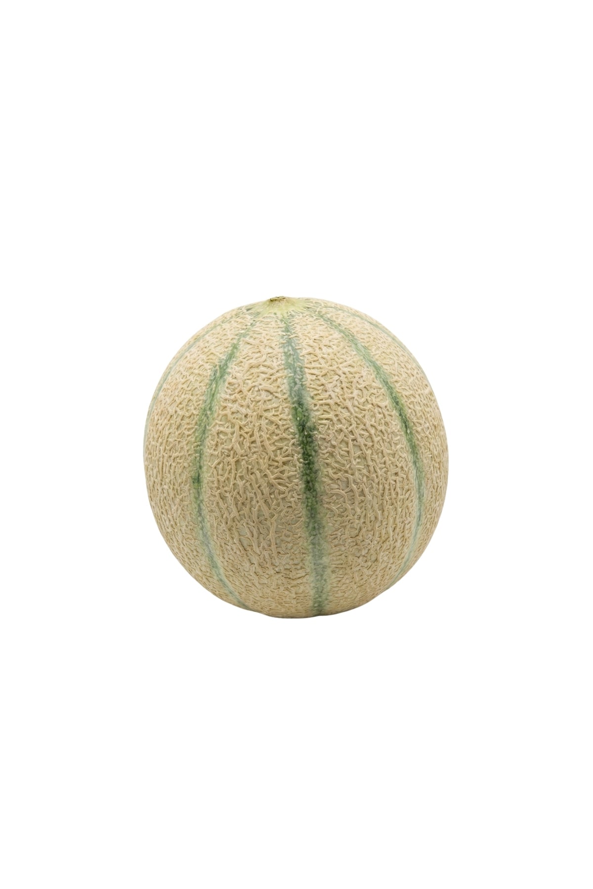 Iranian Origin Red Melon 750 Grams and Above