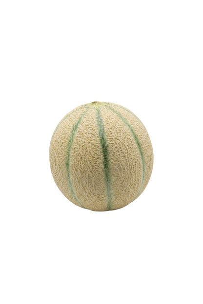 Iranian Origin Red Melon 750 Grams and Above