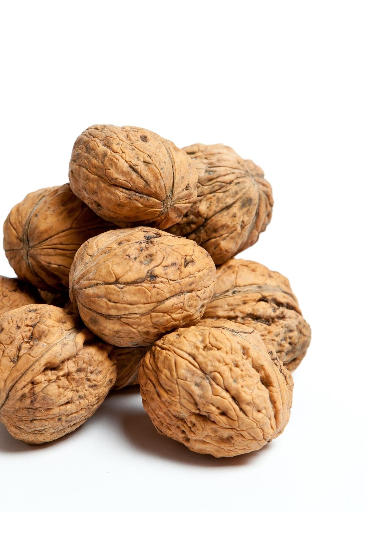Walnuts in Shell 500g