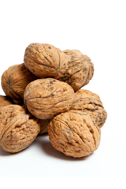 Walnuts in Shell 500g