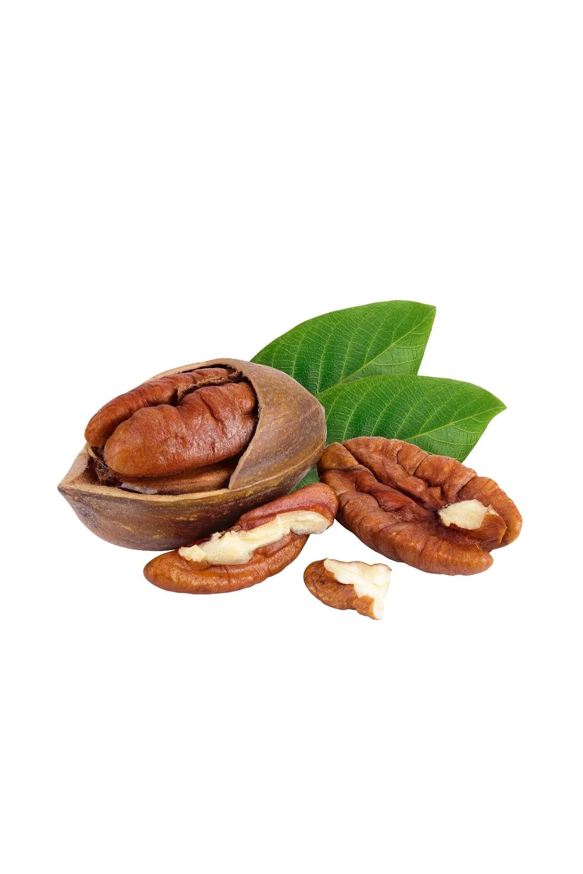 Pecan Nuts in Shell 500g