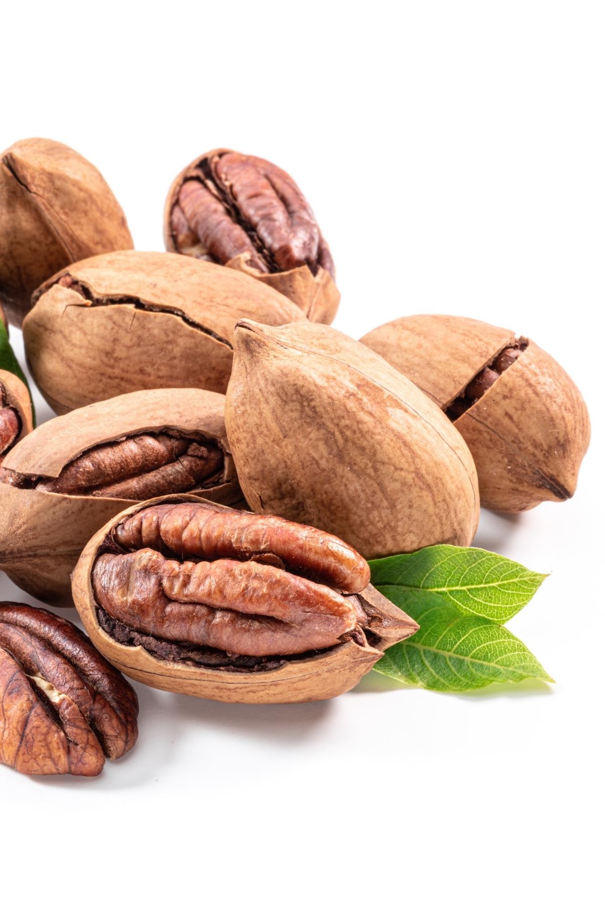 Pecan Nuts in Shell 500g