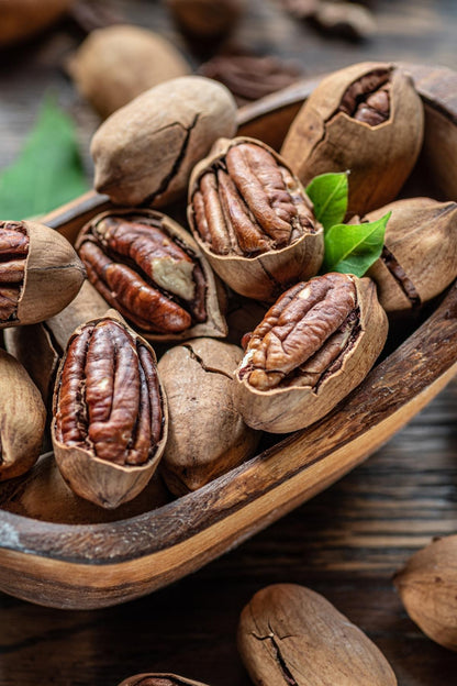 Pecan Nuts in Shell 500g