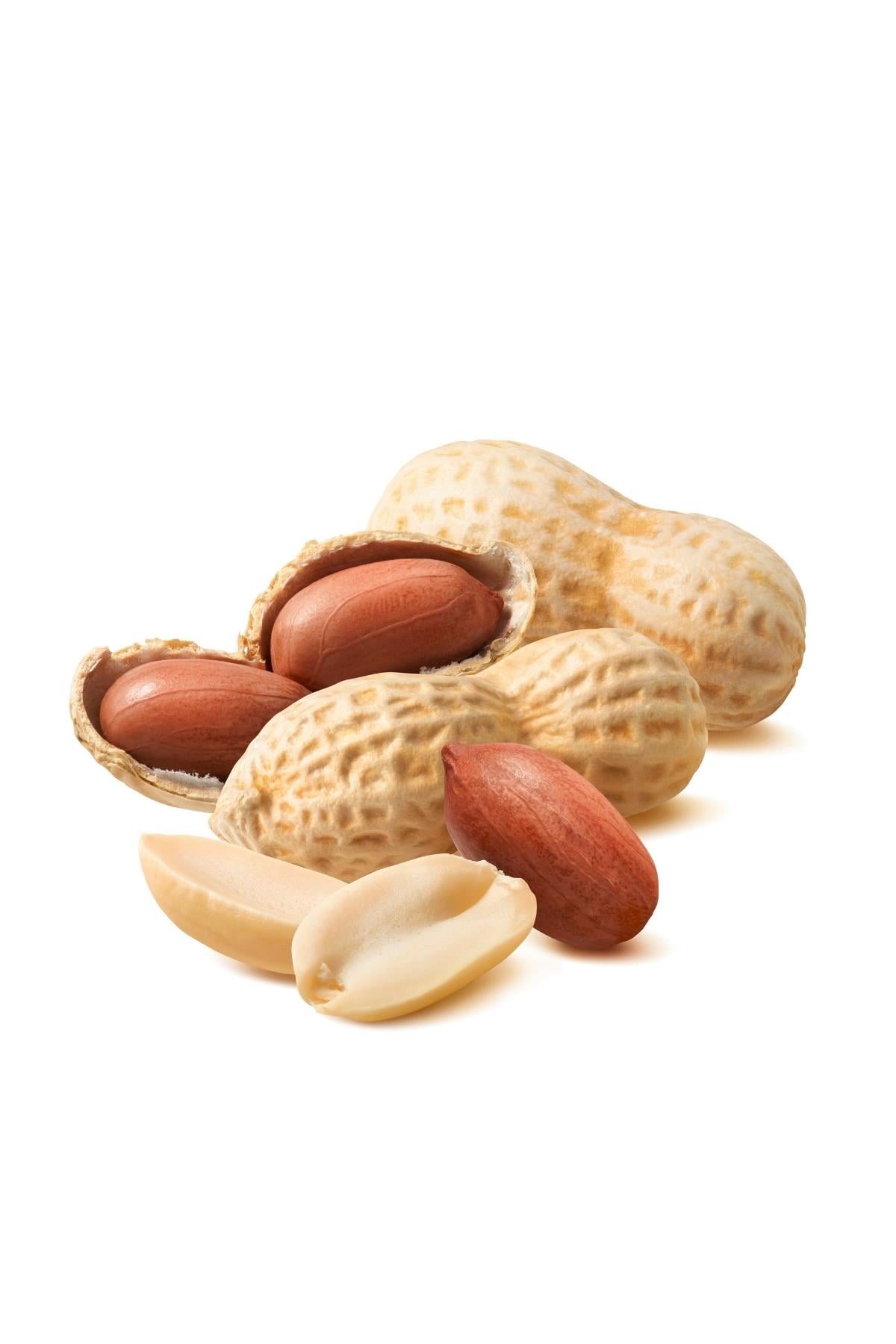 Peanuts in Shell 500 Gram Pack