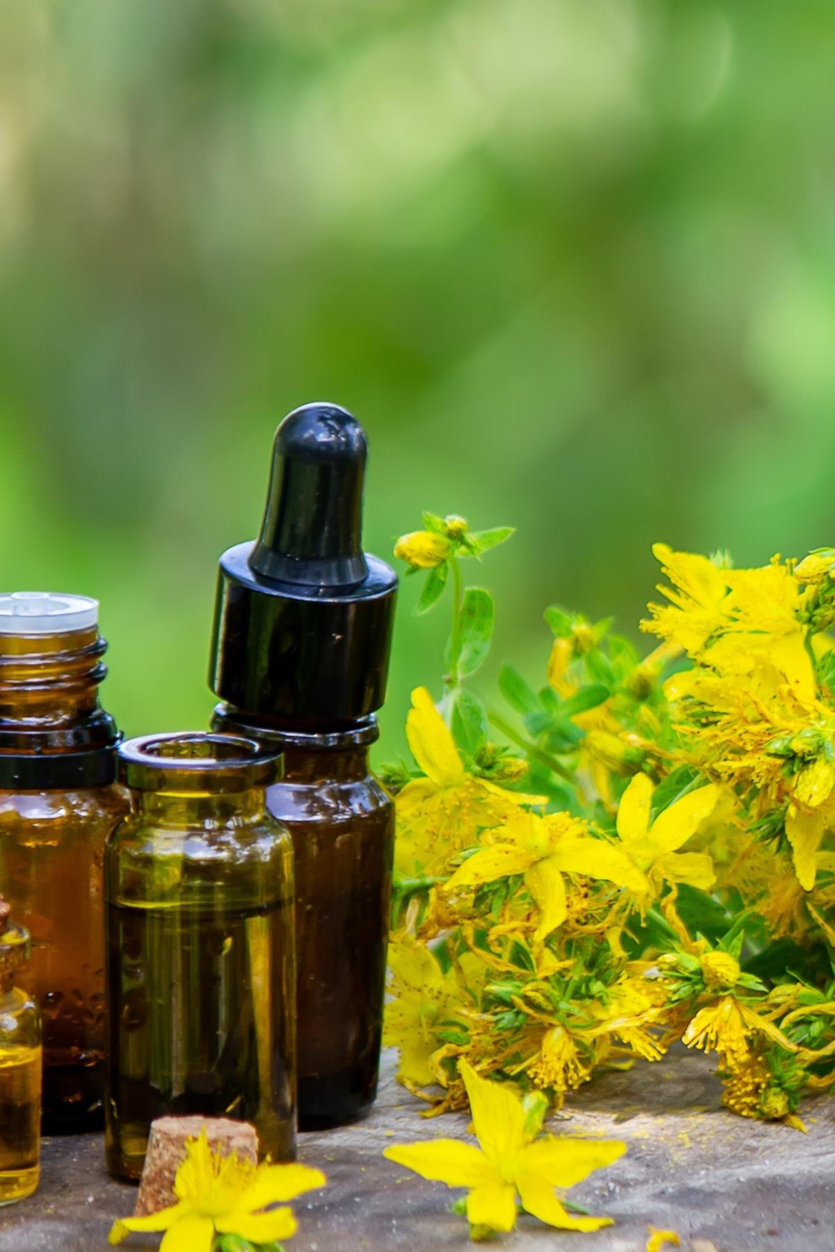 St. John's Wort Oil 20 cc