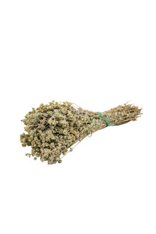 Thyme (Bag 50 Gram)