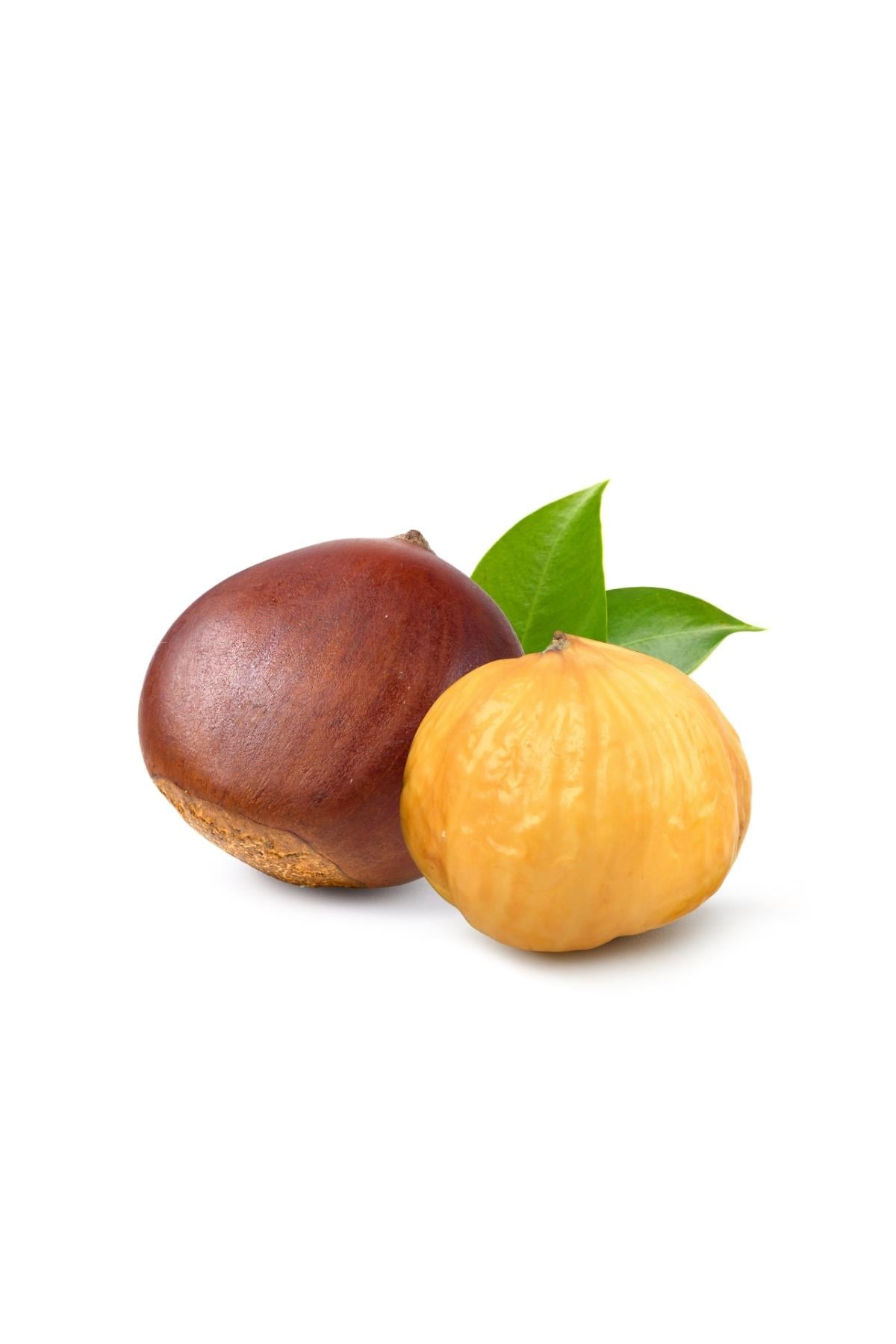Kestane 500 Gram Paket
