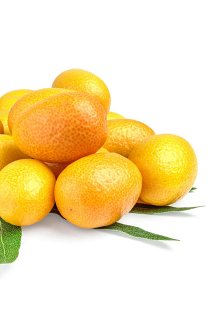 Kumquat 500 Gram Pack