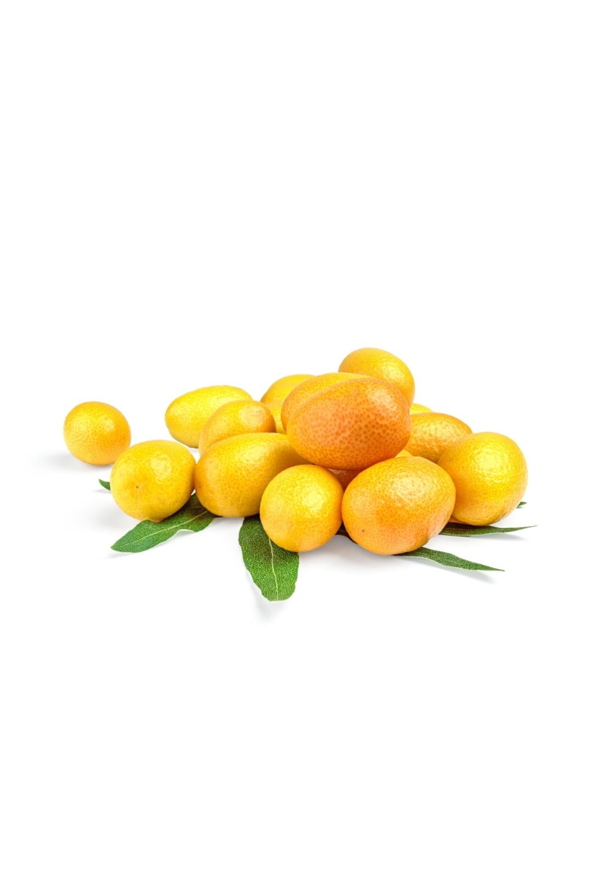 Kumquat 500 Gram Pack