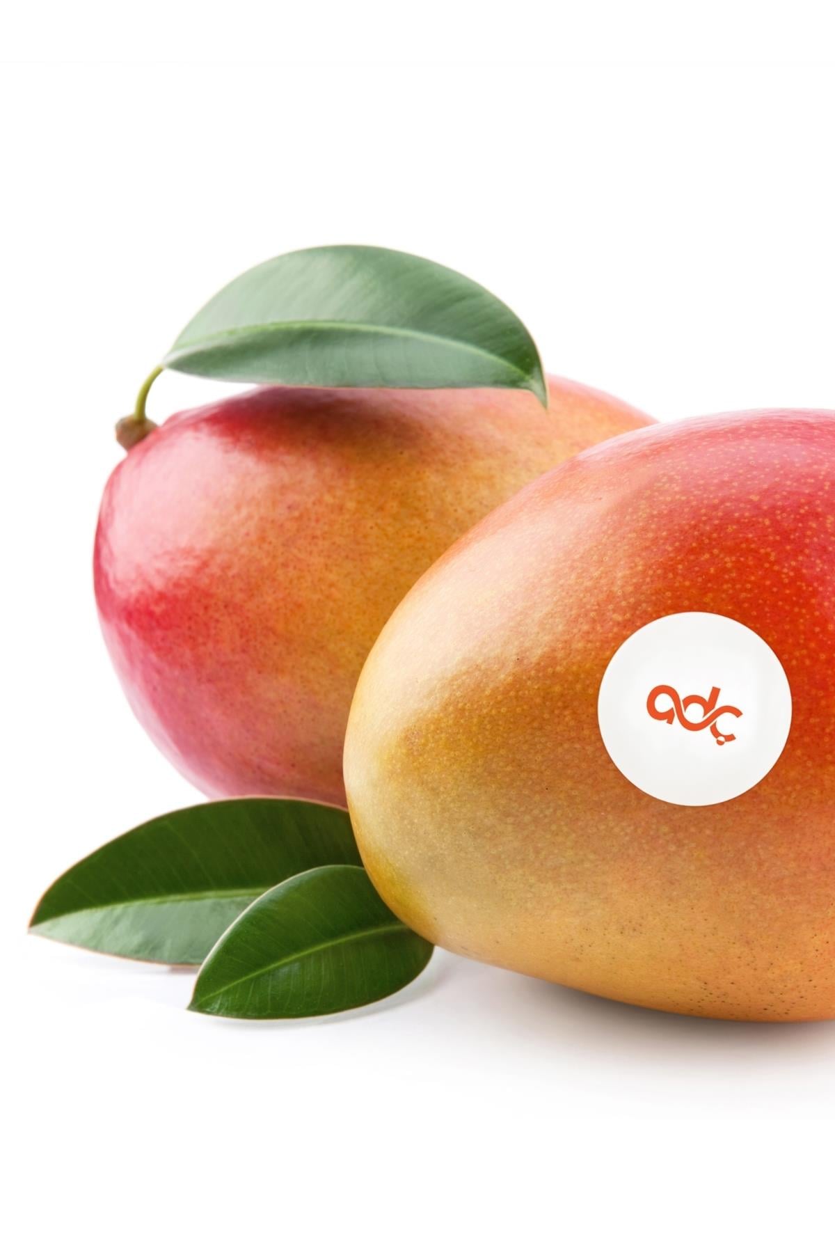 Alanya Mango Piece (1 Piece 650 Gr and above)