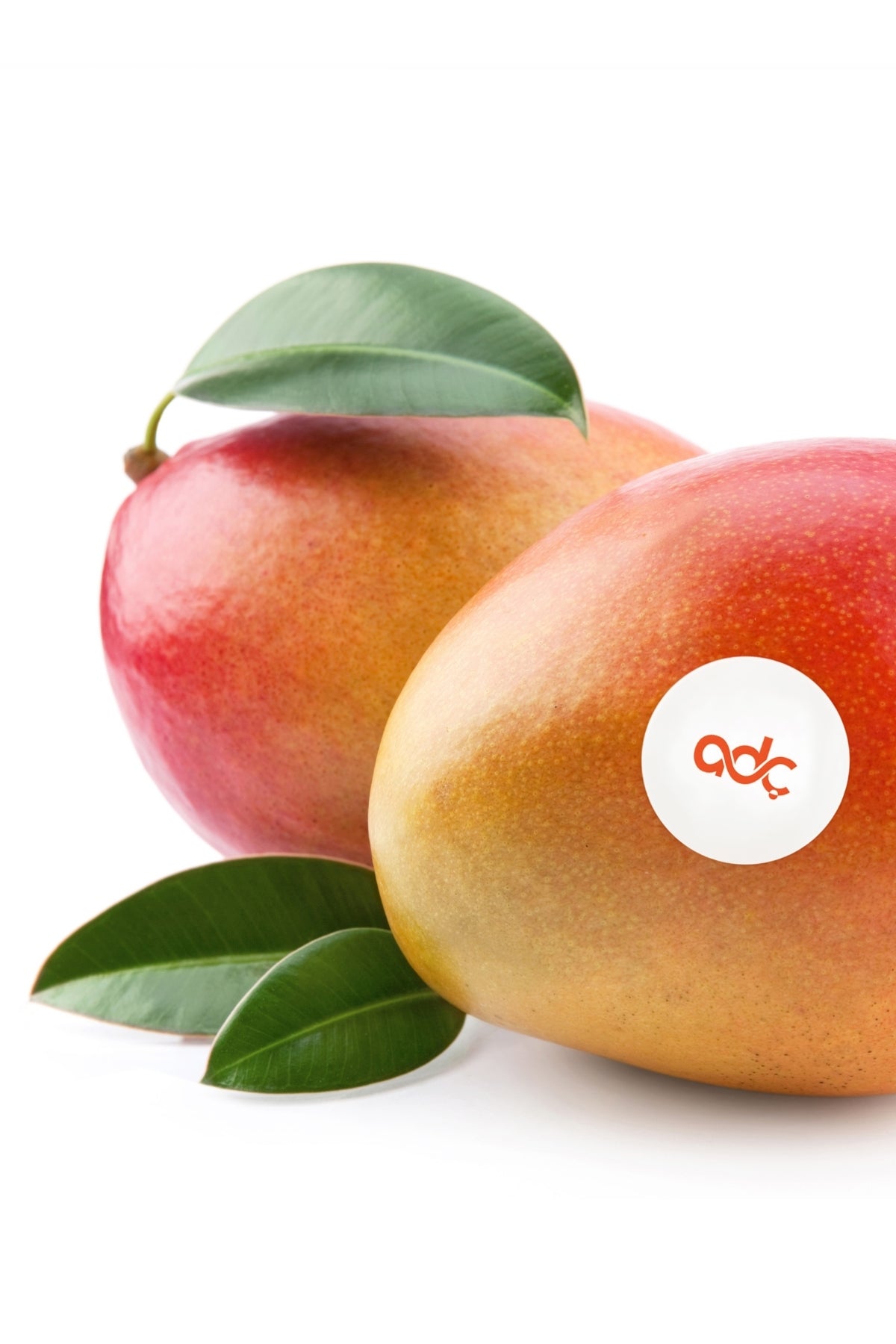 Mango İthal Pestisitsiz Adet (300 Gr Üstü)