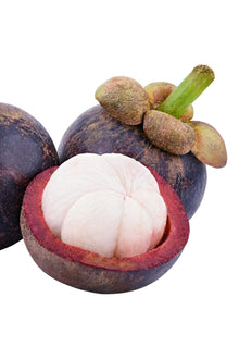 Mangosteen Piece
