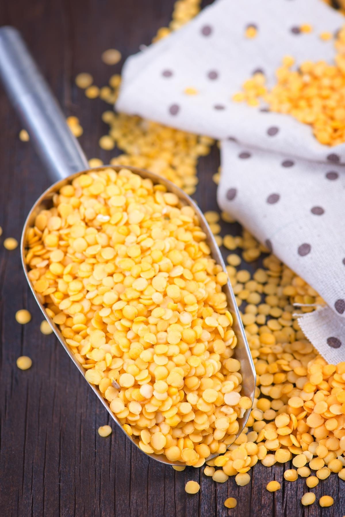Lentil Yellow