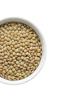 Lentil Green