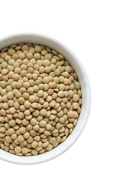 Lentil Green
