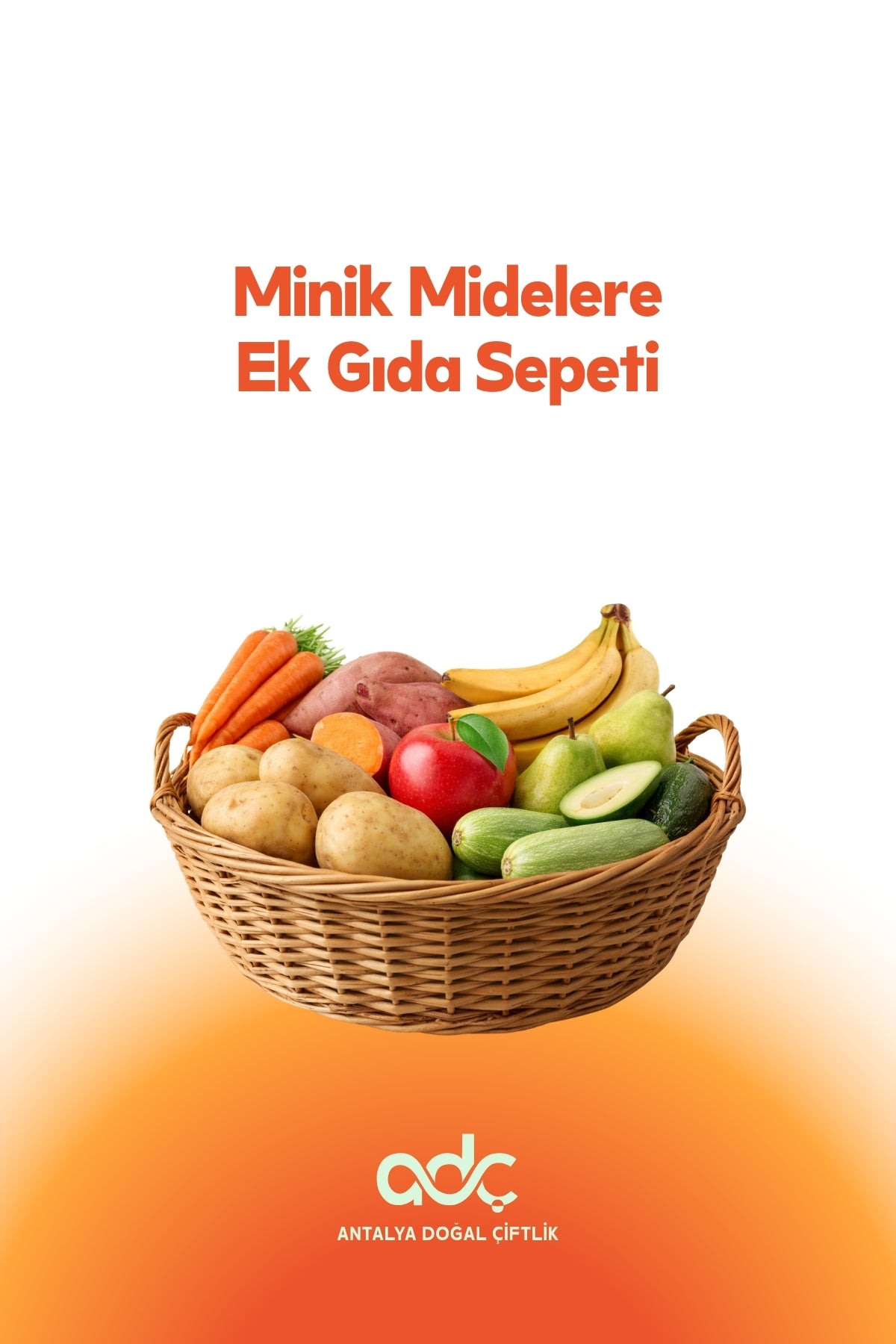 Weaning Food Basket for Little Tummies