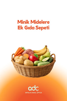 Weaning Food Basket for Little Tummies