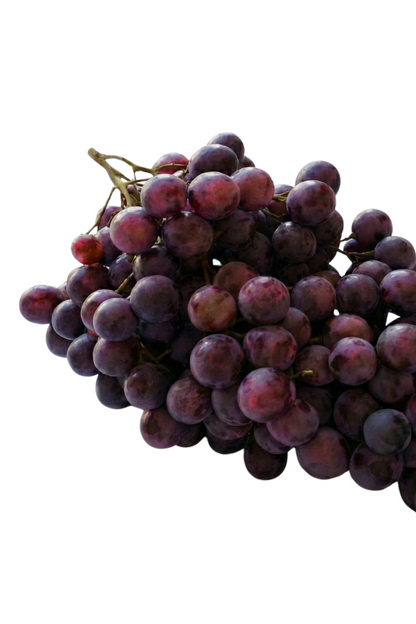 Purple Grape Seed 500 Gr Pack