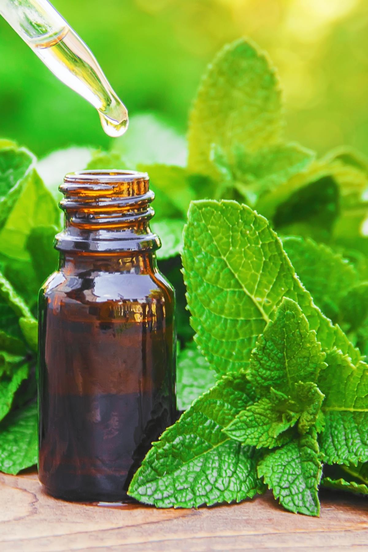 Peppermint Oil 20 cc