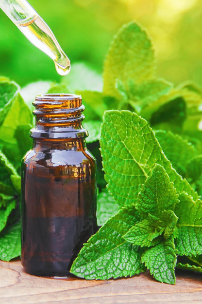 Peppermint Oil 20 cc