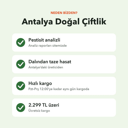 Neden Antalya Doğal Çiftlik: pestisit analizli, dalından taze hasat, pazartesi–perşembe 12:00’ye kadar aynı gün kargo, 2.299 TL üzeri ücretsiz kargo